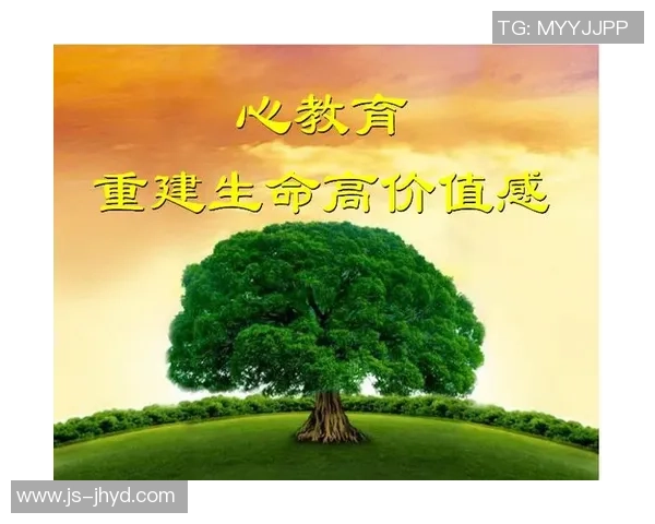 高尚之心照亮人生旅程追求真善美的精神力量与价值观念